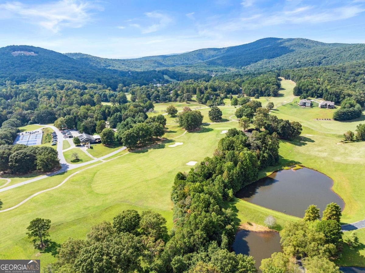 526 Orchard Drive Clarkesville - Photo 81