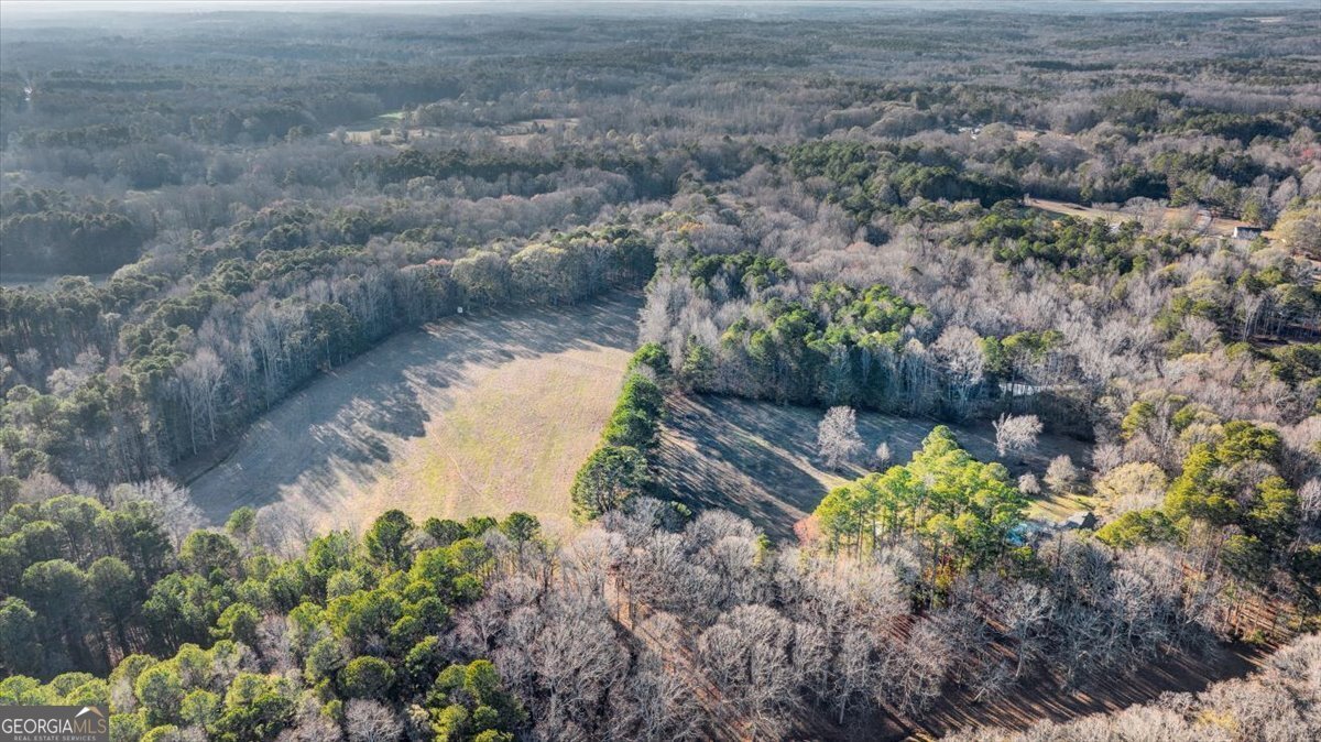 217 Browning Road Villa Rica - Photo 37