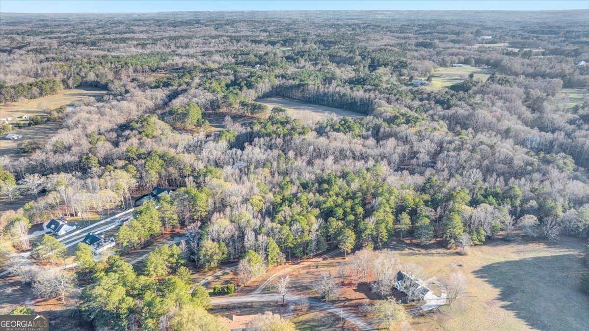 217 Browning Road Villa Rica - Photo 39