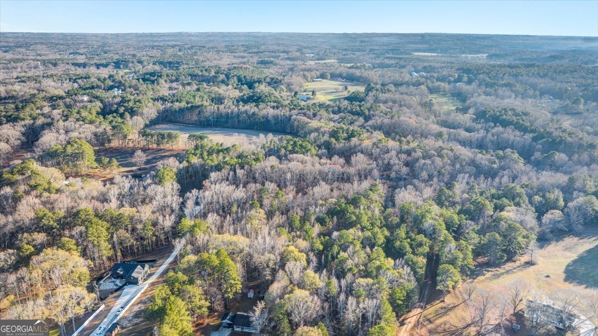 217 Browning Road Villa Rica - Photo 40