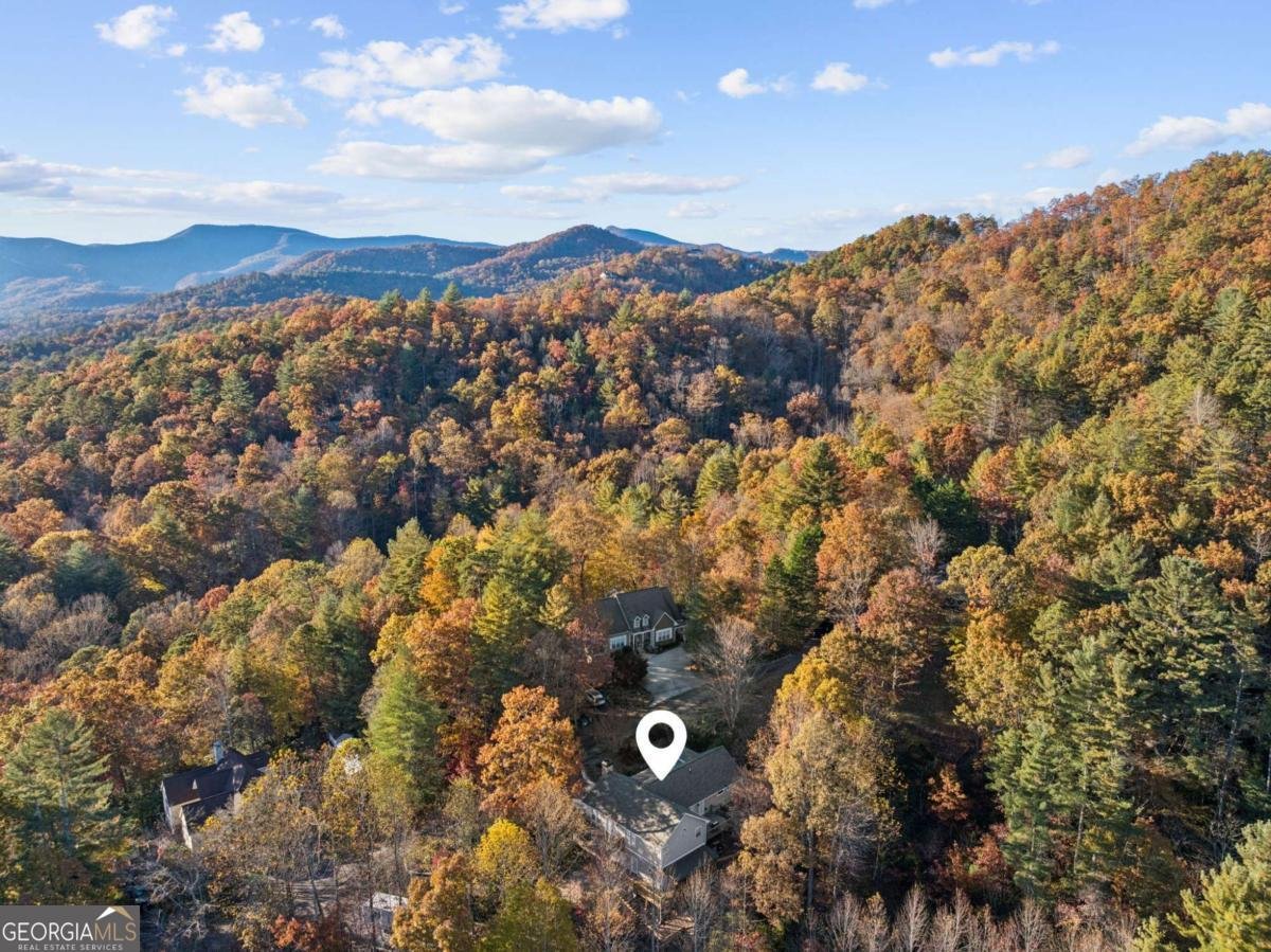 174 Bell Colony Road Dillard - Photo 47