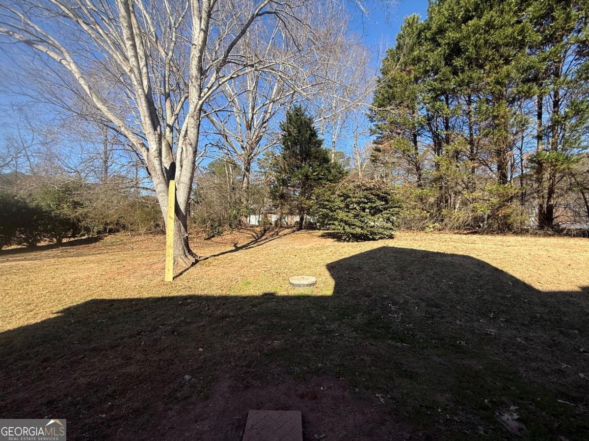 2540 Fortune Drive Dacula - Photo 49