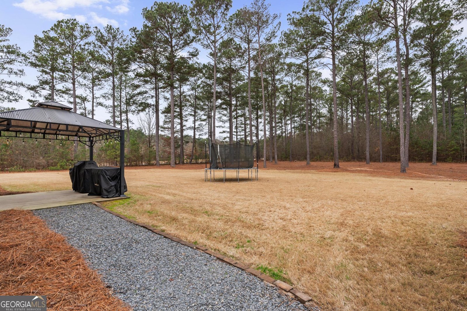 22 Fox Hall Crossing Senoia - Photo 51