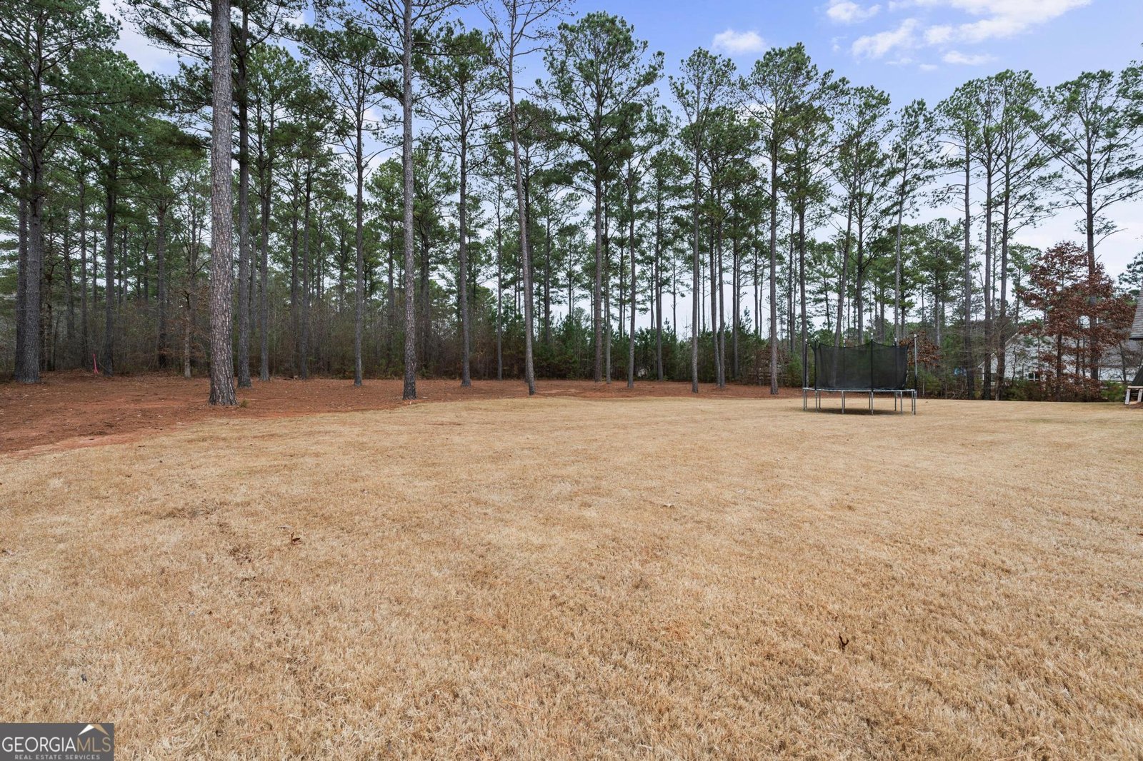 22 Fox Hall Crossing Senoia - Photo 53