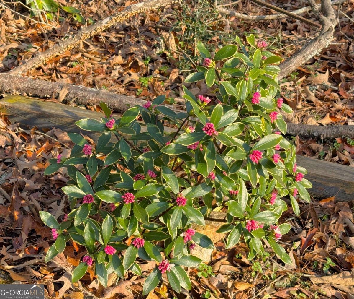 134 Bent Tree Drive Athens - Photo 51