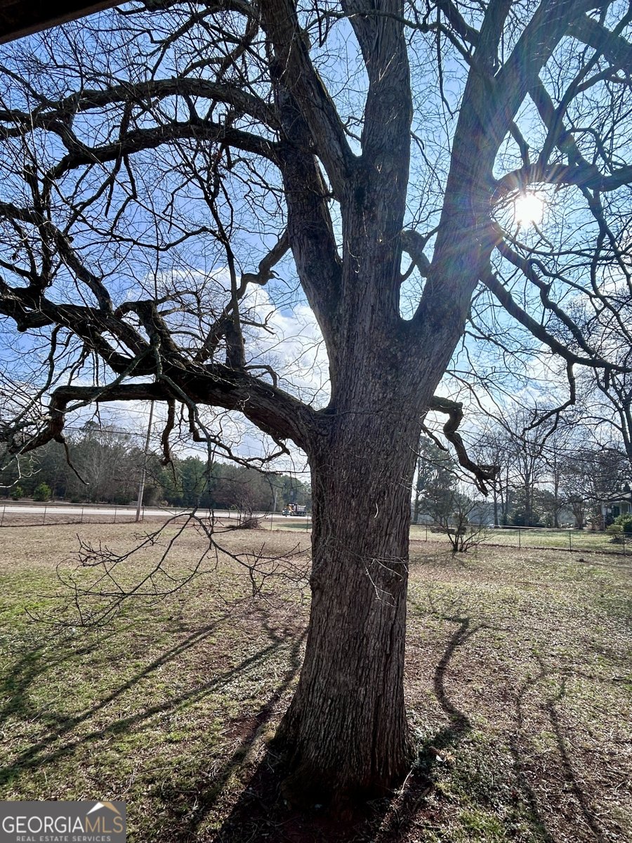 22 Meadow Chase Way Palmetto - Photo 16