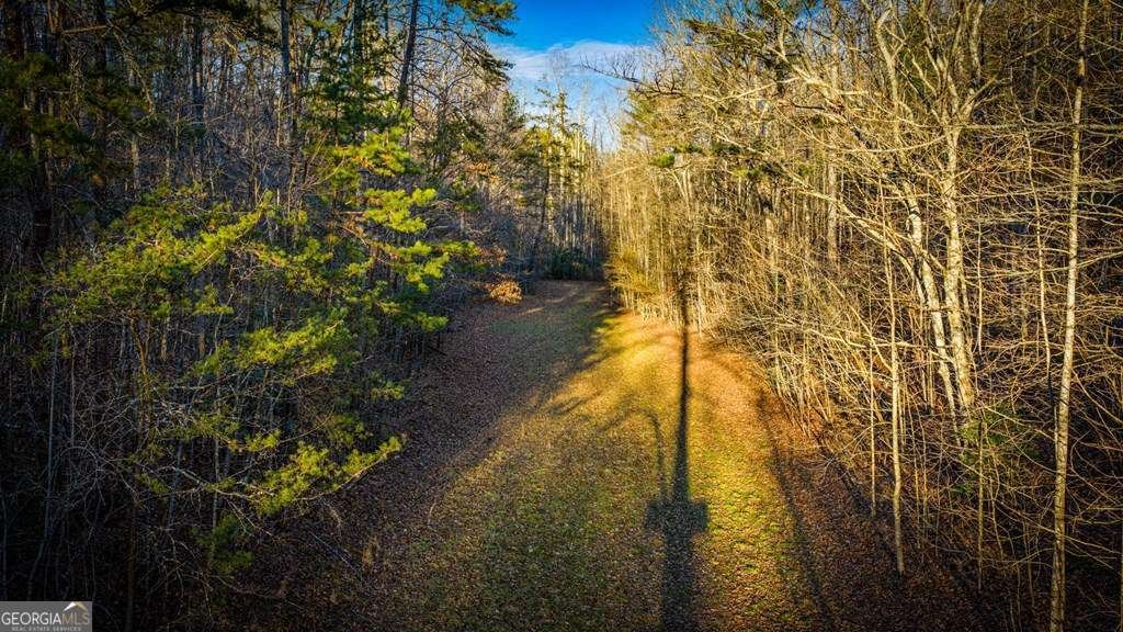 178 Arp Road Mineral Bluff - Photo 50