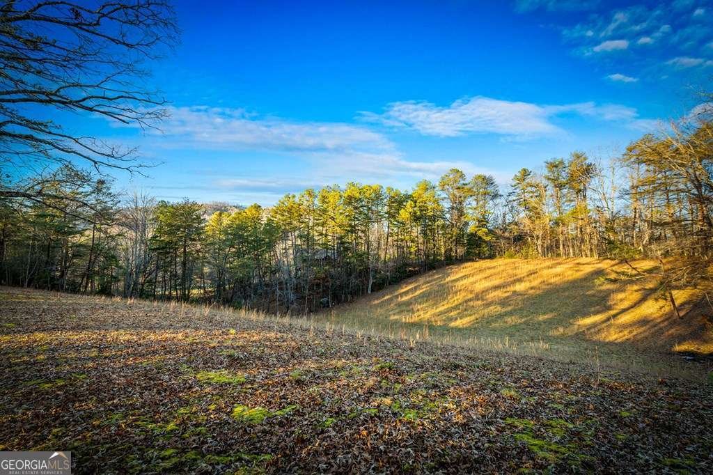 178 Arp Road Mineral Bluff - Photo 51