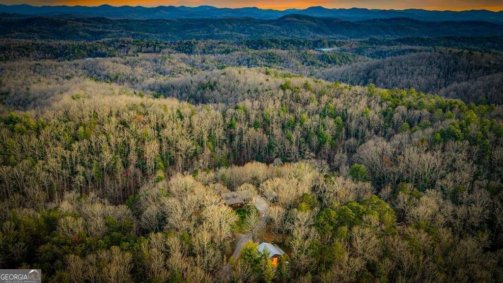 178 Arp Road Mineral Bluff - Photo 56