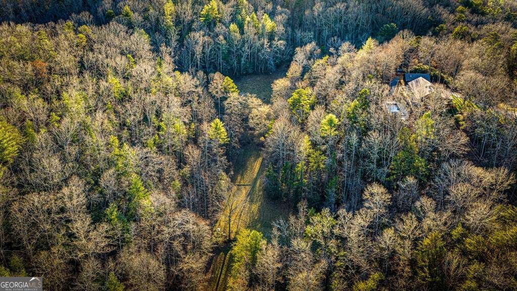 178 Arp Road Mineral Bluff - Photo 57