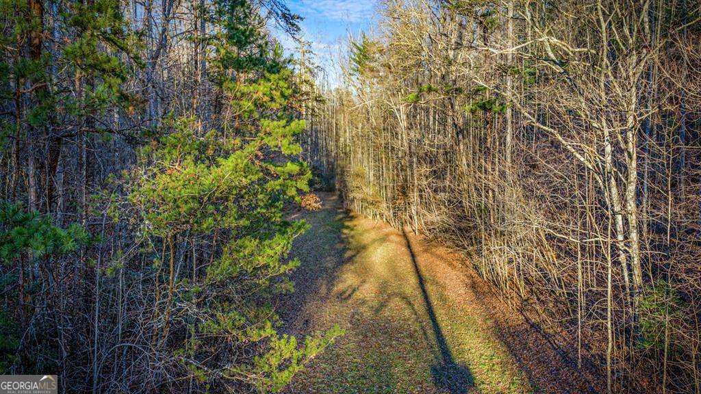 178 Arp Road Mineral Bluff - Photo 68