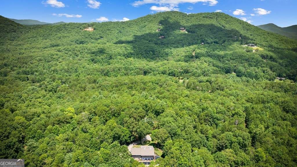 178 Arp Road Mineral Bluff - Photo 69