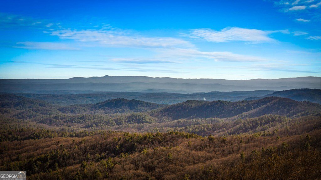 47 Pinhoti Pass Ellijay - Photo 69