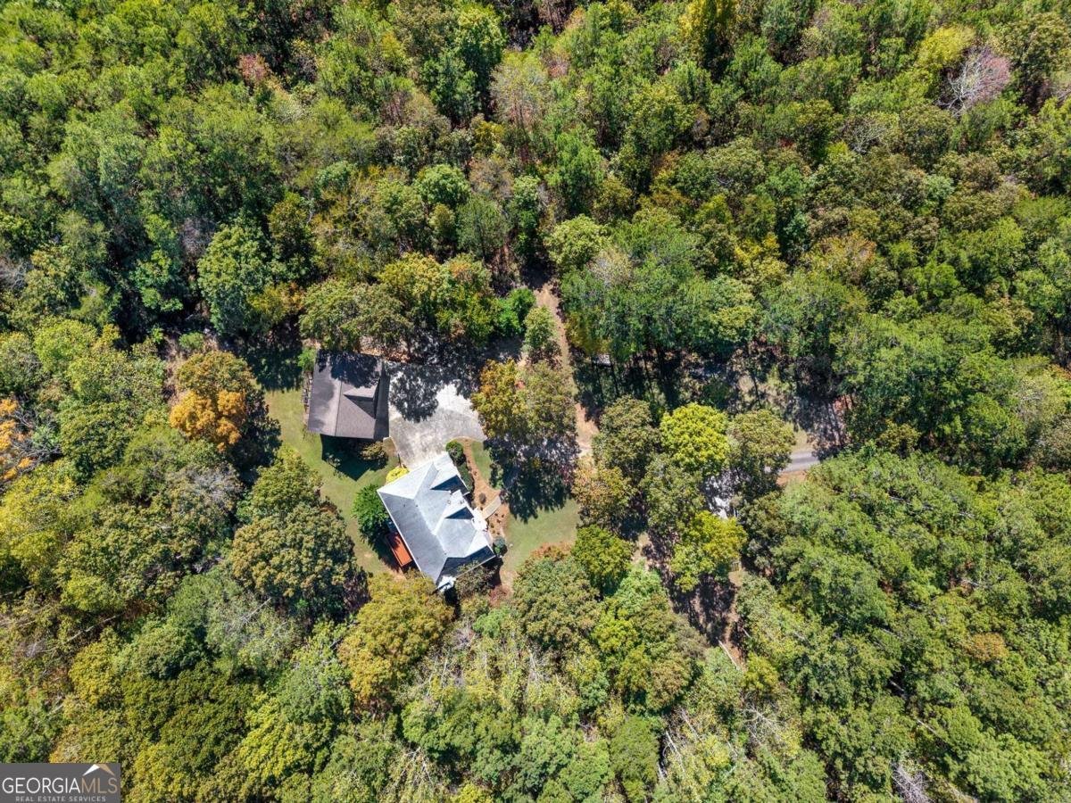 4200 Cherry Grove Road Ball Ground - Photo 62