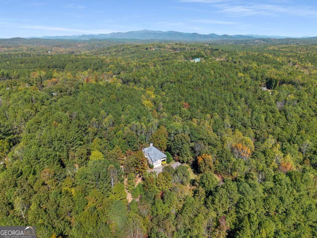 4200 Cherry Grove Road Ball Ground - Photo 64