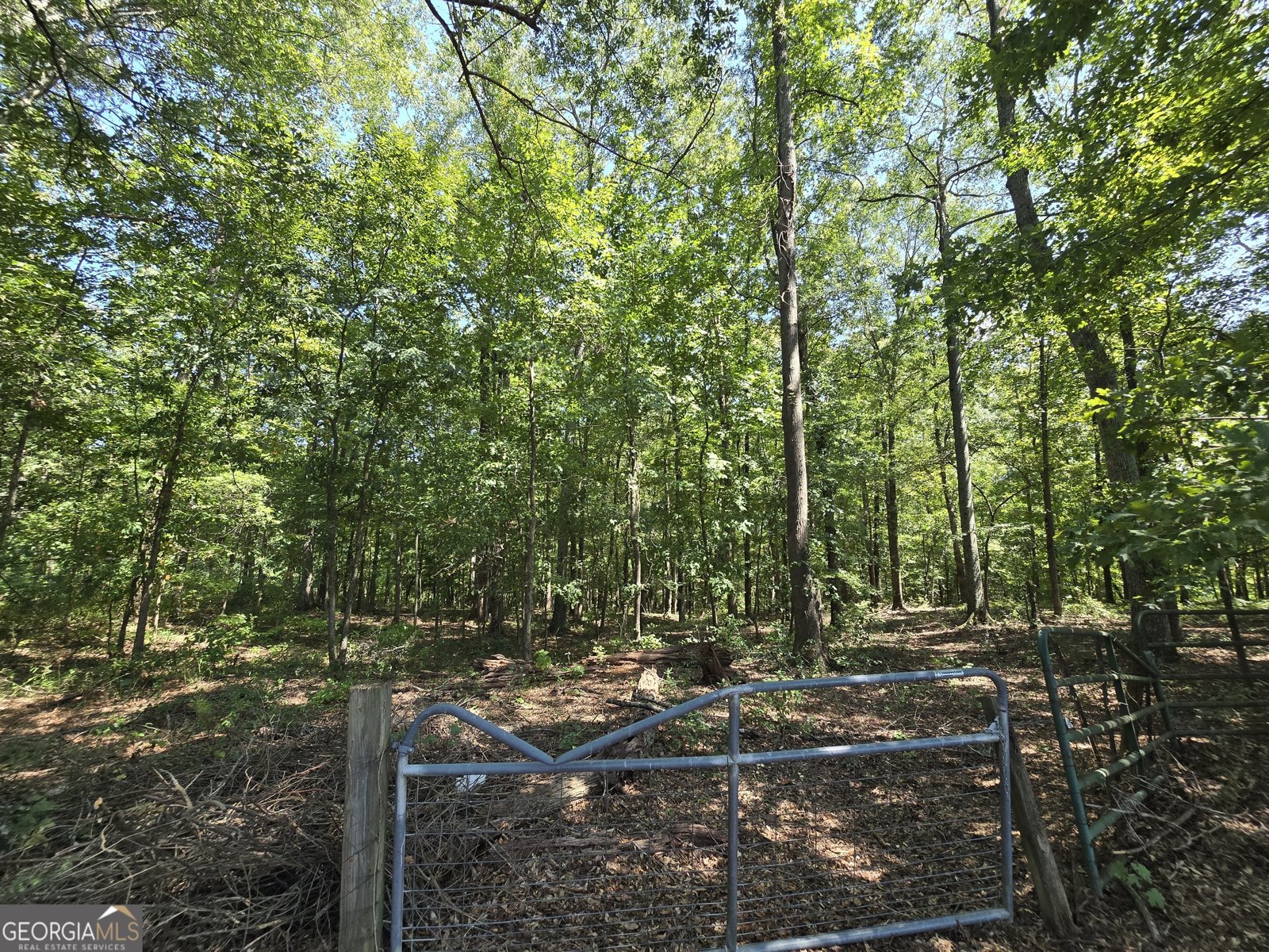 1120 Fincherville Road Jackson - Photo 38