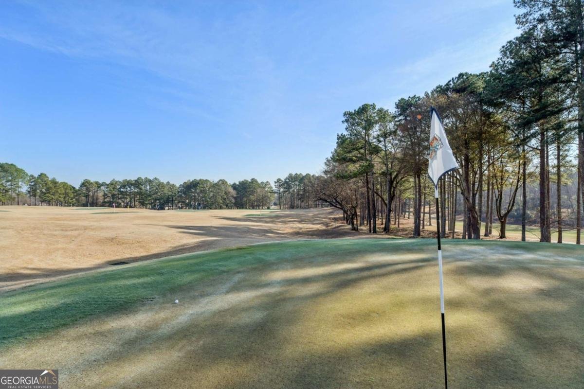 1135 Ascott Valley Drive Johns Creek - Photo 69