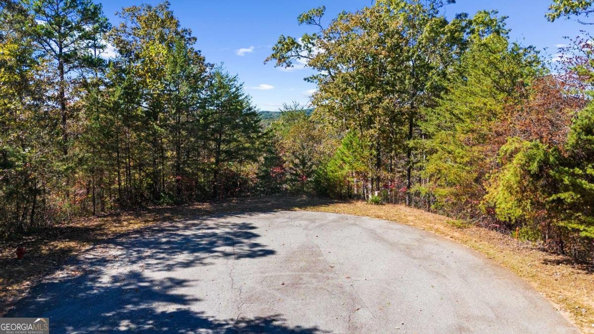 1047 Nugget Court Dahlonega - Photo 23