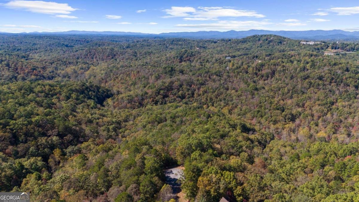 1047 Nugget Court Dahlonega - Photo 24