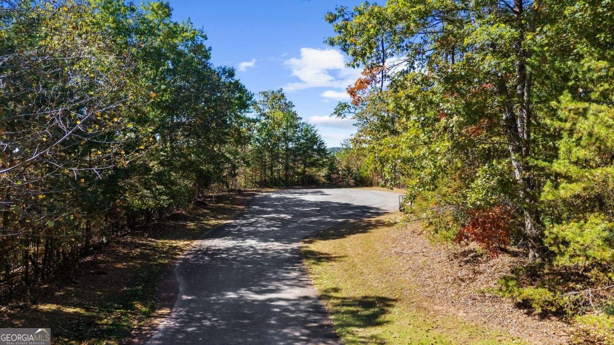 1047 Nugget Court Dahlonega - Photo 25