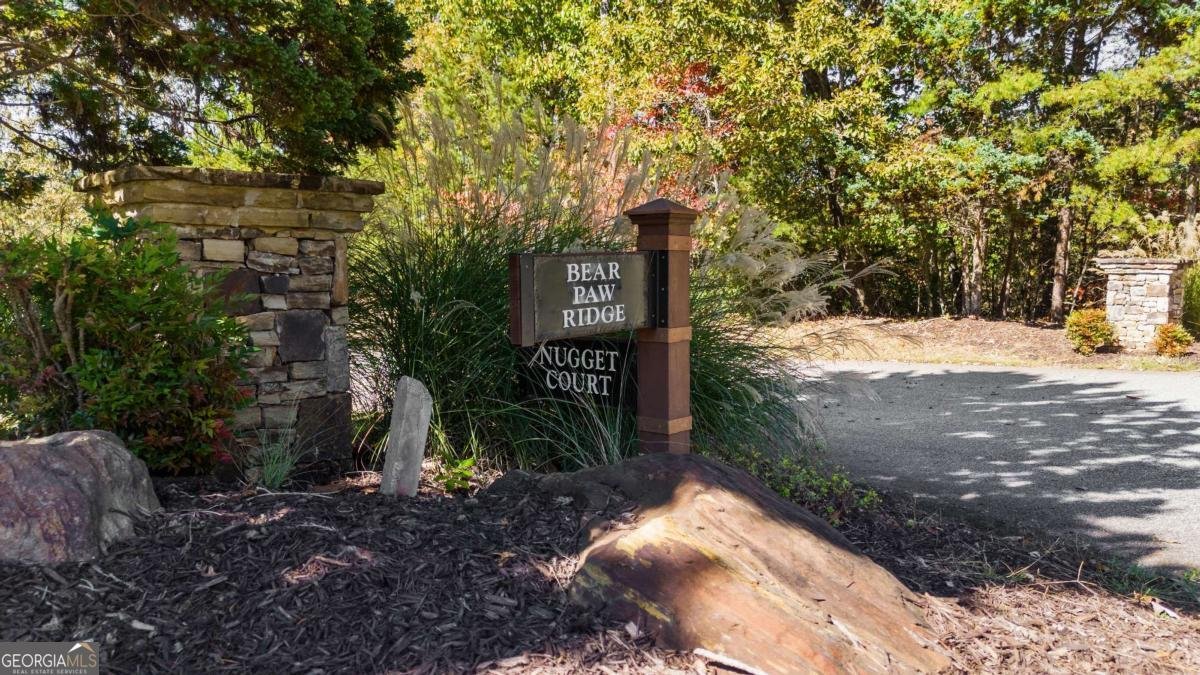 1047 Nugget Court Dahlonega - Photo 26