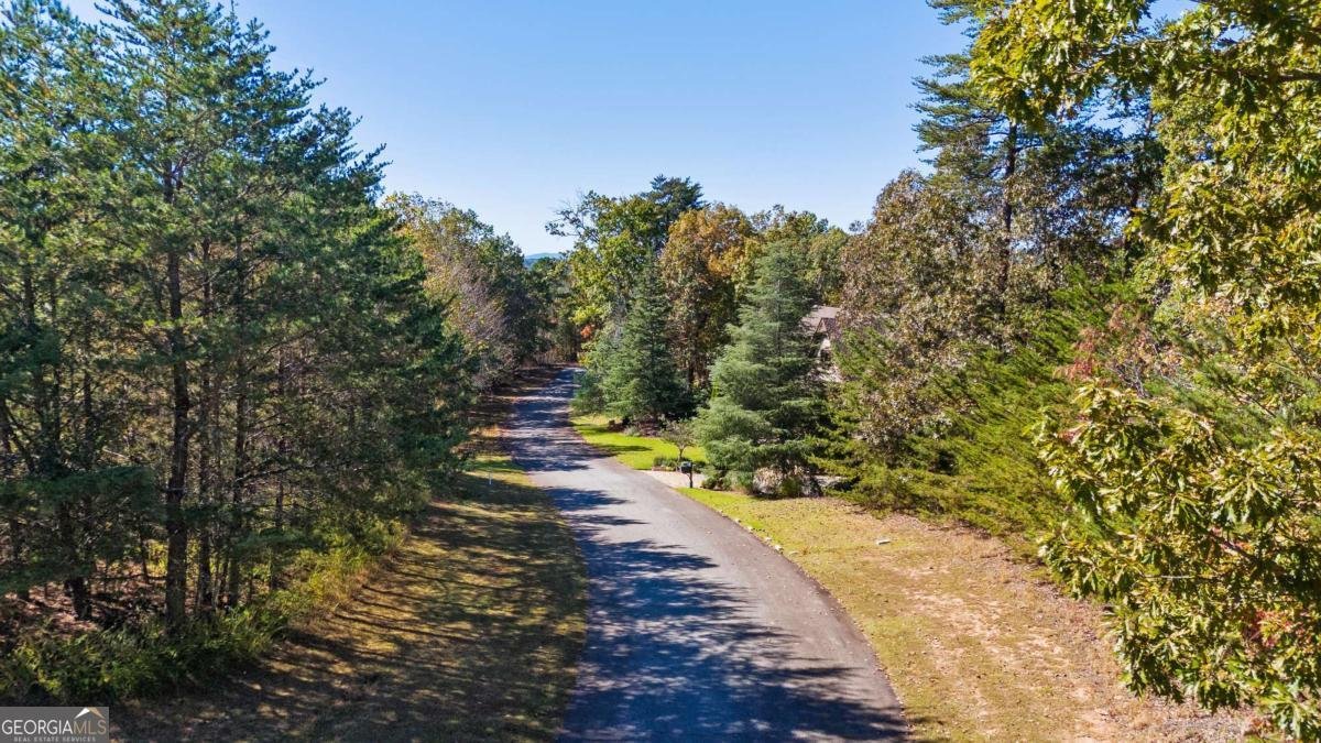 1047 Nugget Court Dahlonega - Photo 27