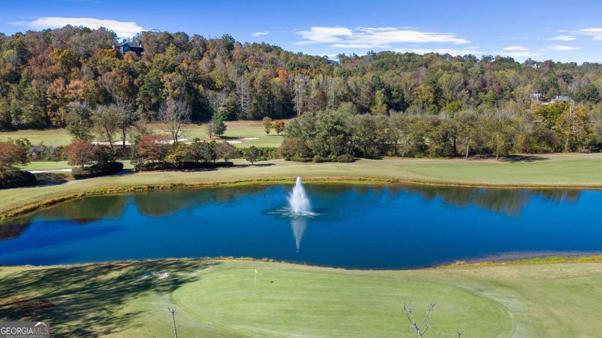 1047 Nugget Court Dahlonega - Photo 35