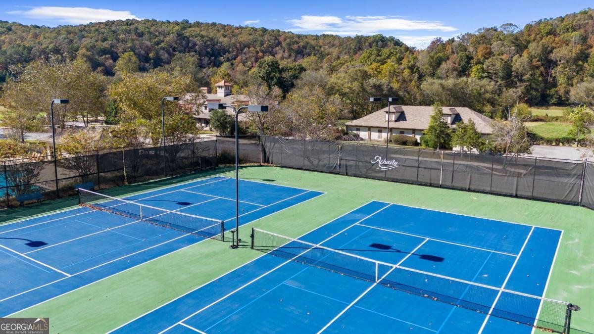 1047 Nugget Court Dahlonega - Photo 36