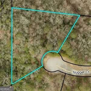 1047 Nugget Court Dahlonega - Photo 39