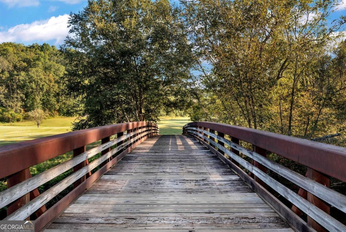 1047 Nugget Court Dahlonega - Photo 51