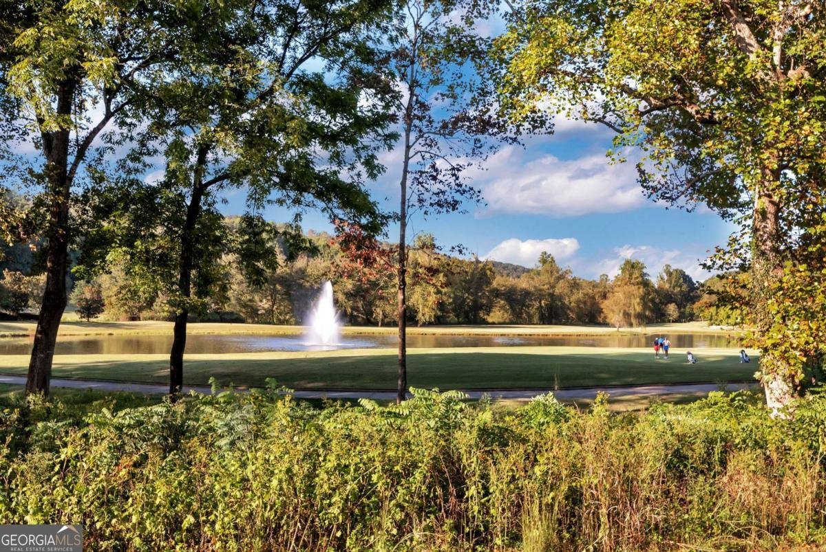 1047 Nugget Court Dahlonega - Photo 52