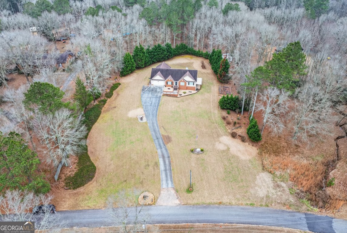 3910 Pineybrook Drive Loganville - Photo 11