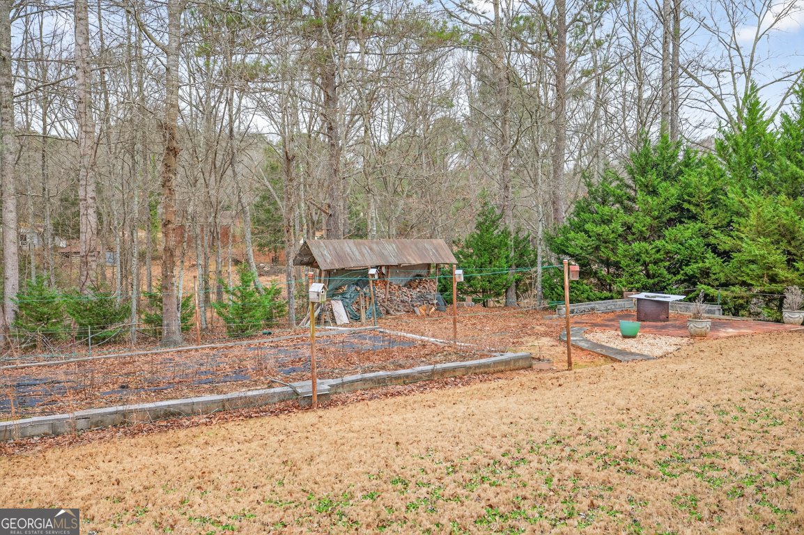3910 Pineybrook Drive Loganville - Photo 43