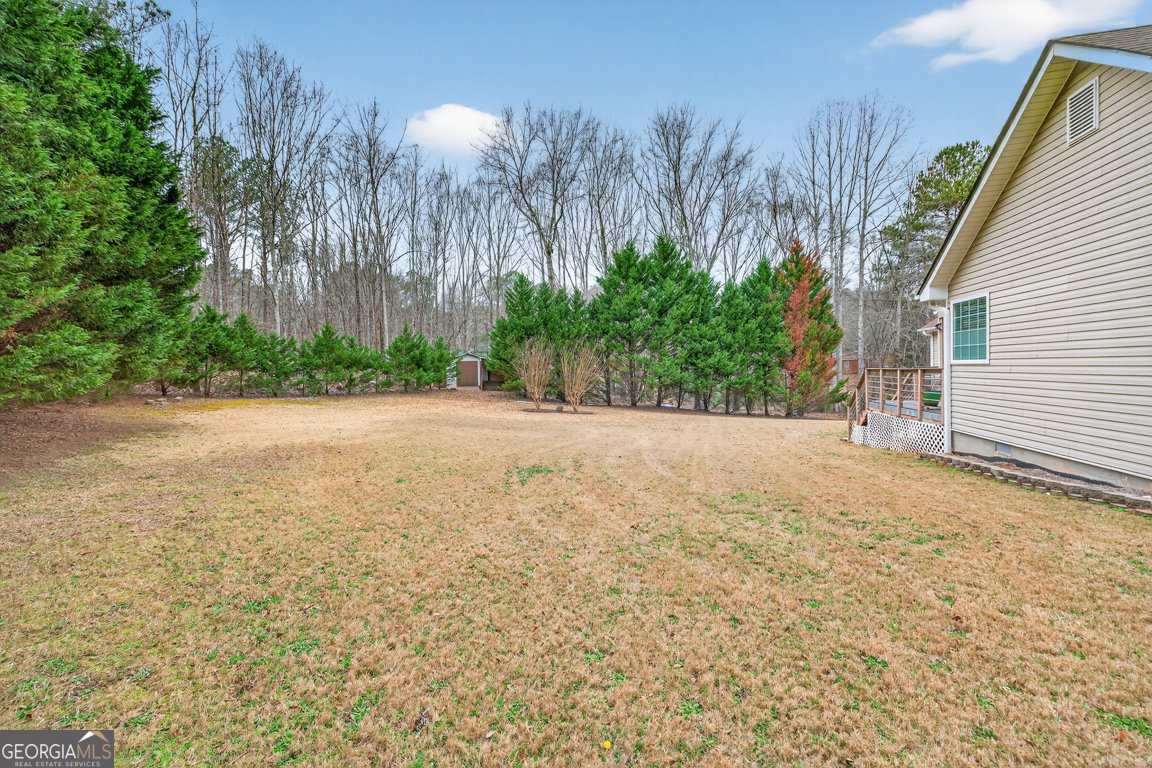 3910 Pineybrook Drive Loganville - Photo 47