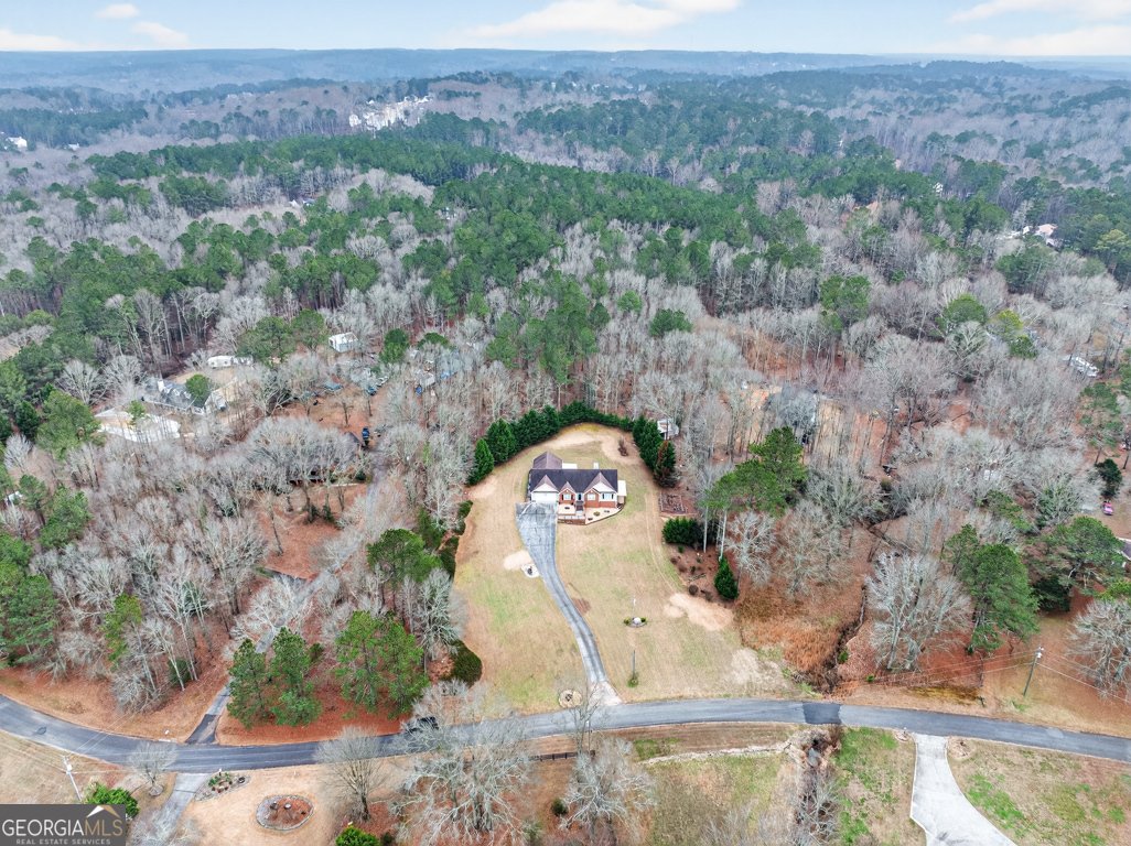 3910 Pineybrook Drive Loganville - Photo 49