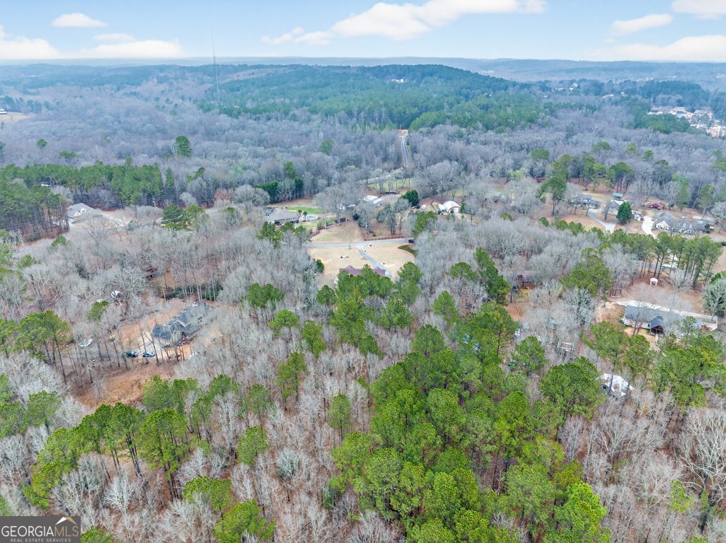 3910 Pineybrook Drive Loganville - Photo 52