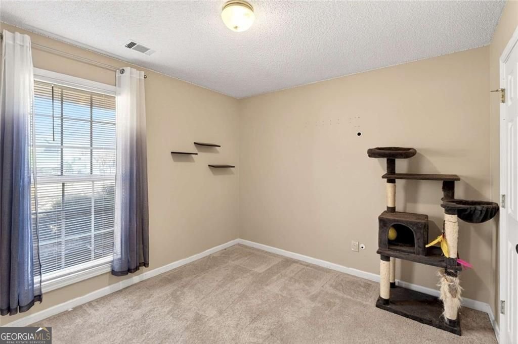 310 Oconee Court McDonough - Photo 10