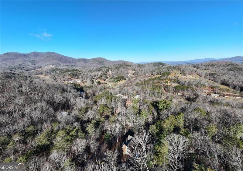 6710 Morgan Drive Young Harris - Photo 41