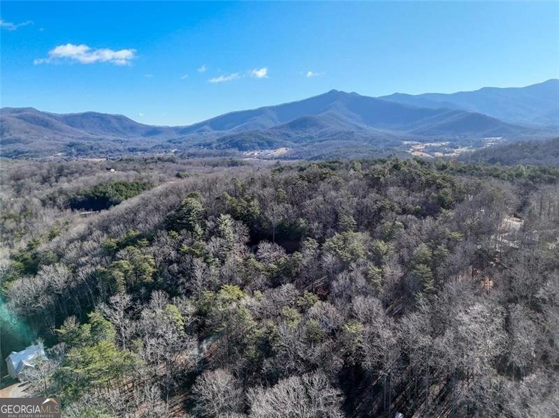 6710 Morgan Drive Young Harris - Photo 42