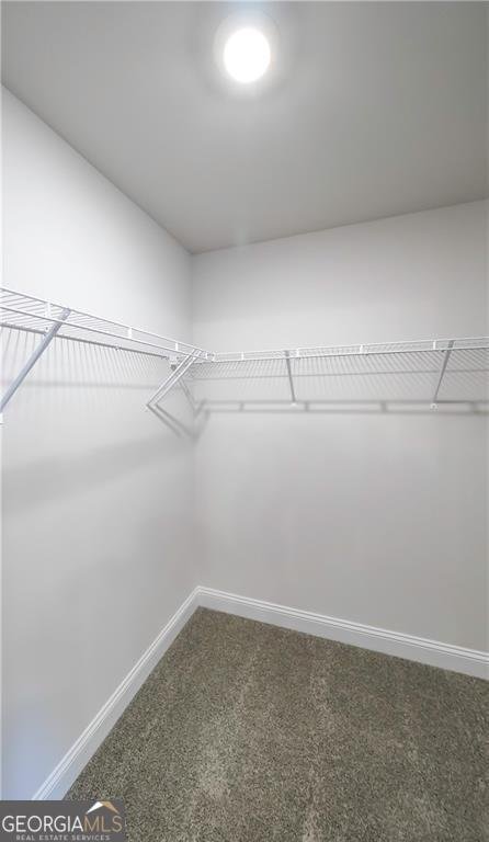 213 Laney Drive Carrollton - Photo 37