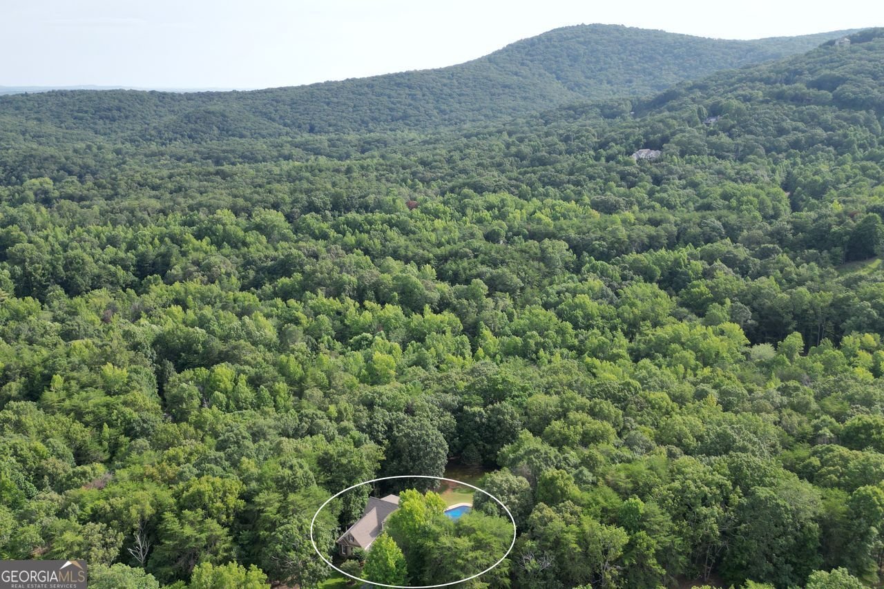 77 TALLY COVE Road Jasper - Photo 91