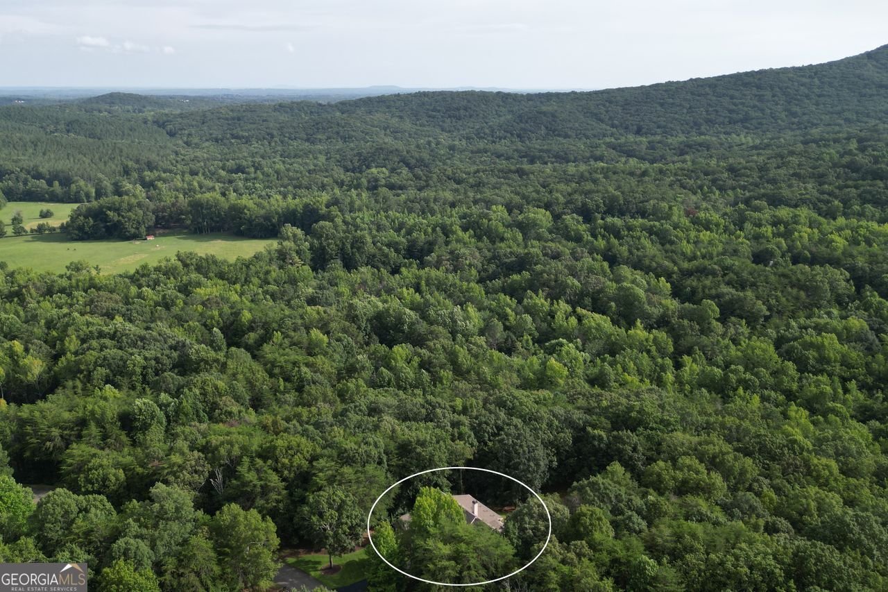 77 TALLY COVE Road Jasper - Photo 92