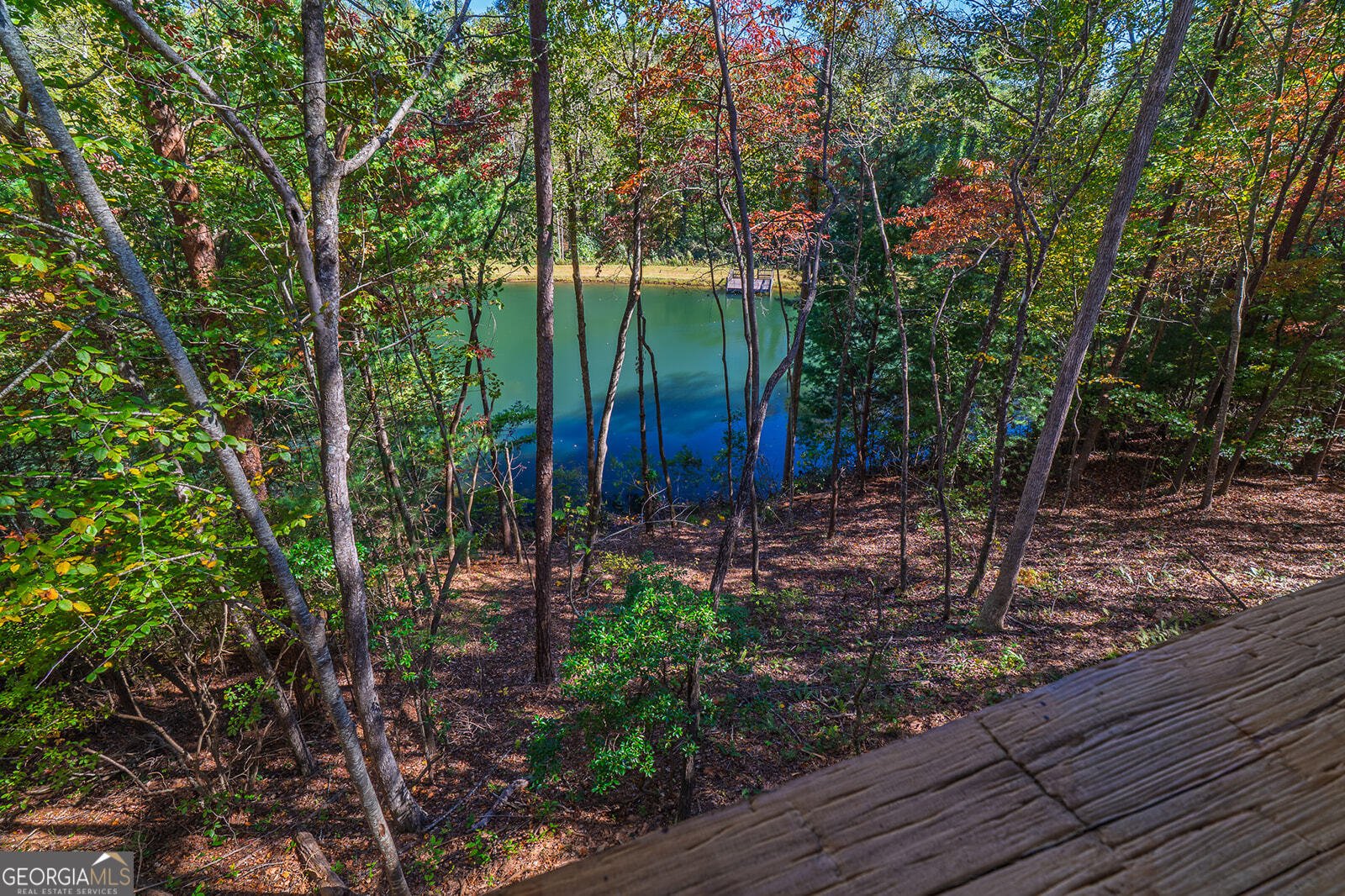 85 Moreland Trail Cherry Log - Photo 22