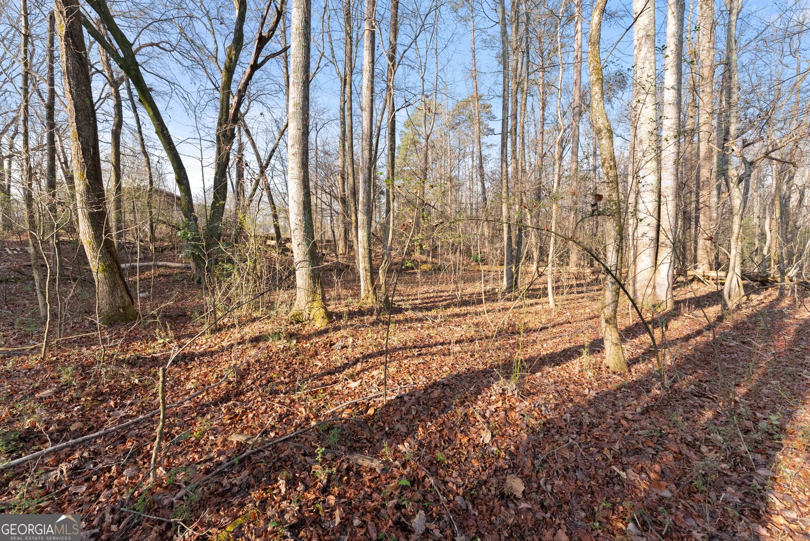 1470 Jackson Drive Cumming - Photo 46