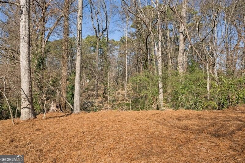 1062 Country Lane Atlanta - Photo 38