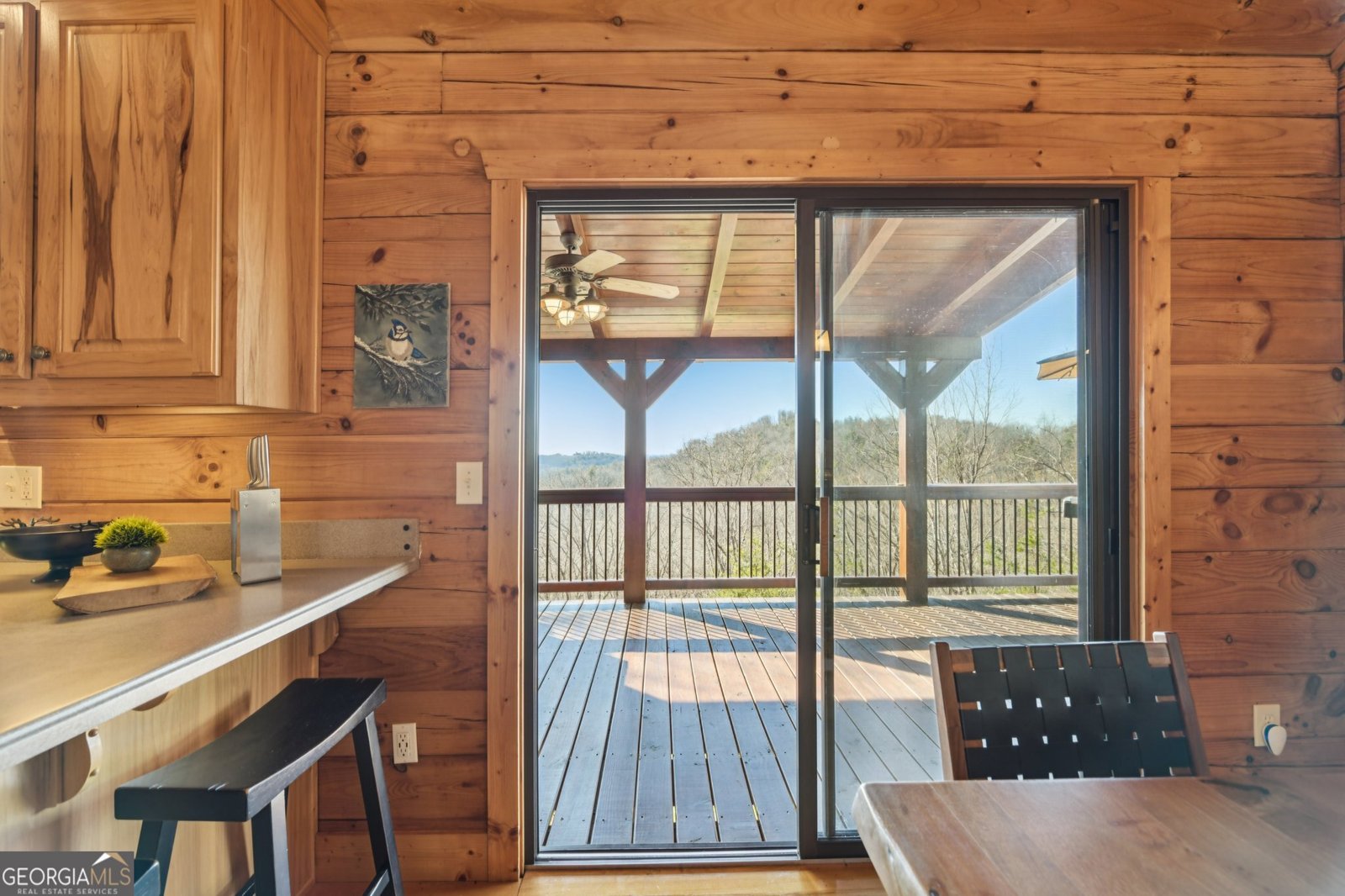 232 RANCH MOUNTAIN Drive Dahlonega - Photo 22