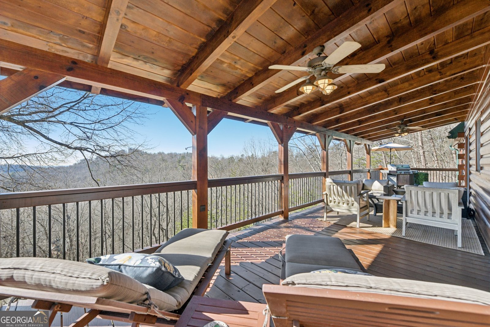 232 RANCH MOUNTAIN Drive Dahlonega - Photo 25