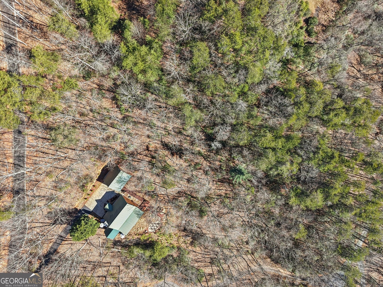 232 RANCH MOUNTAIN Drive Dahlonega - Photo 72