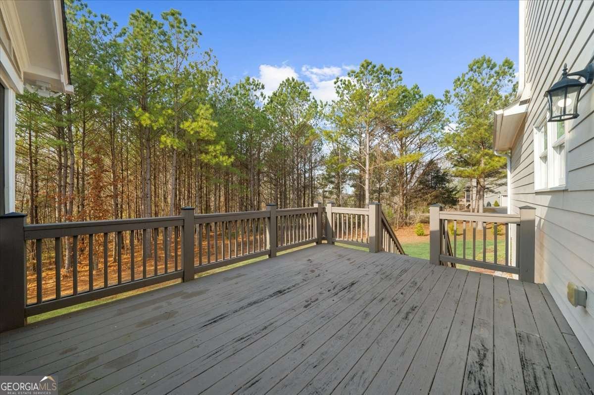 210 Maggies Road Canton - Photo 35