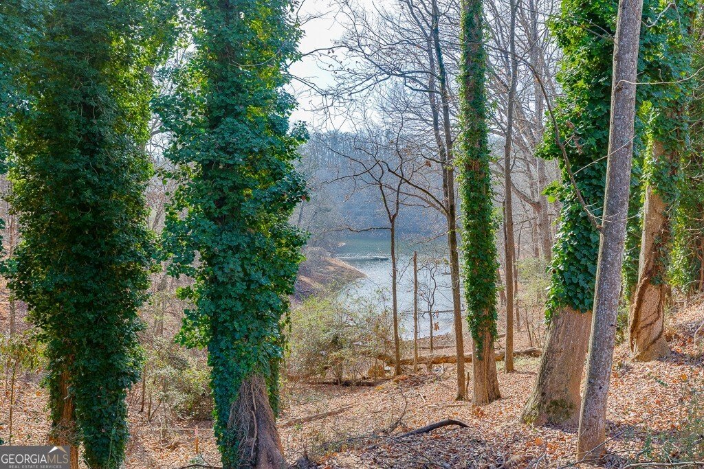 2485 Hidden Cove Court Gainesville - Photo 37